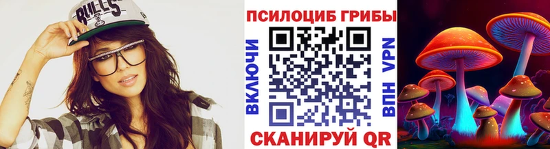 Купить где Минусинск Псилоцибиновые грибы Psilocybe